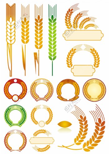 金色麦穗图形图片