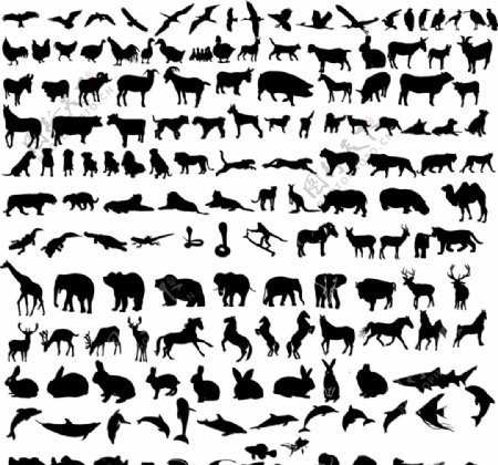 动物黑白剪影动物森林动物图片