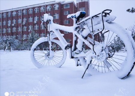 雪地自行车图片