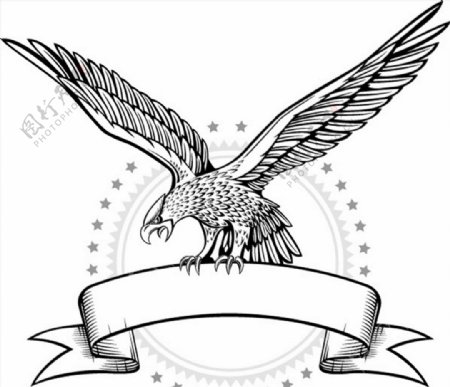 线条老鹰徽章图片