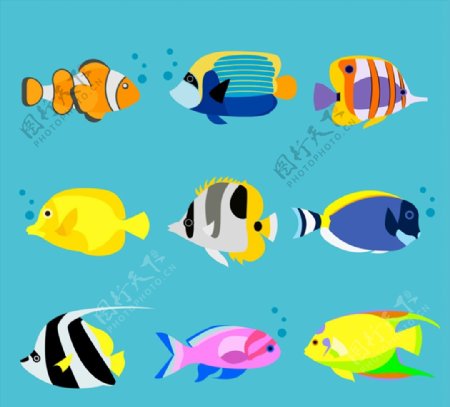 卡通海洋鱼类图片