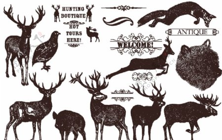 手绘线描动物鹿野生小动物图片