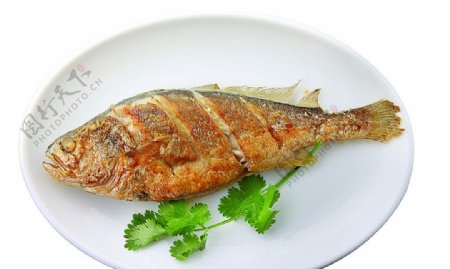 沪菜素熏鱼图片