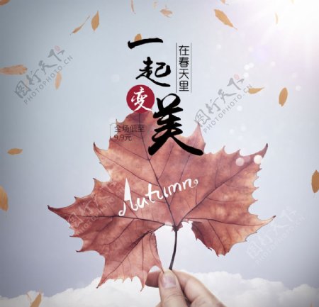 秋枫落叶图片