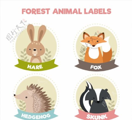 可爱动物标签图片