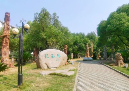 武汉地质大学石化林图片