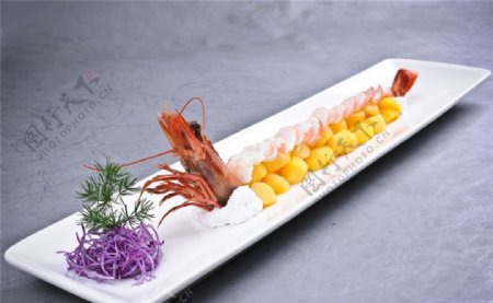 金珠戏海王虾图片
