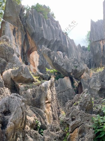 云南昆明石林岩溶风景图片