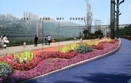 城市鲜花节点道路绿化盆栽图片
