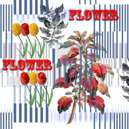 条纹装饰花卉