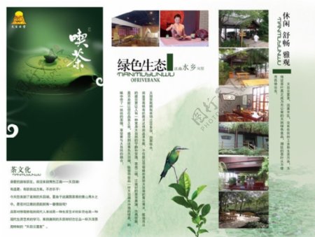 绿色生态茶文化画册PSD分层
