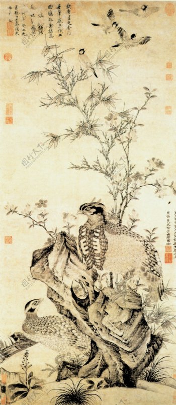 竹石集禽图图片