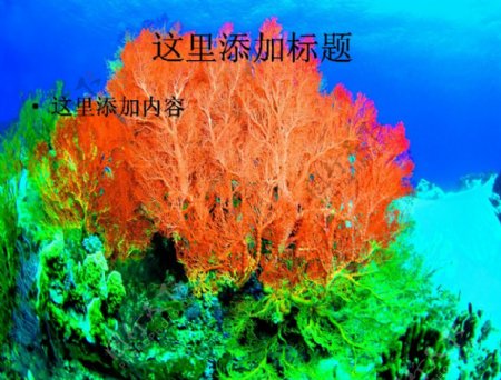 海底美丽珊瑚高清ppt封面9