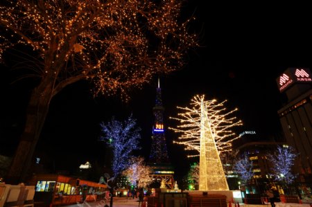 日本札幌大道公园圣诞节之夜图片