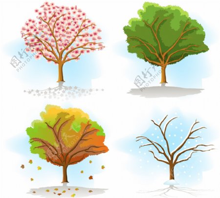 树的四季图片