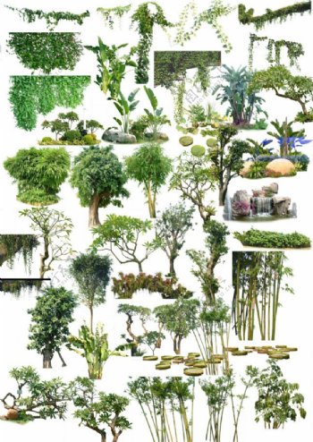 室外景观植物素材