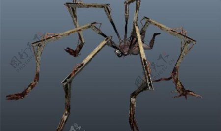 巨型蜘蛛游戏模型