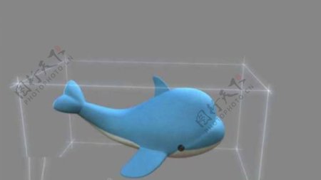 蓝色的海豚模型