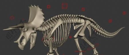 TriceratopsSkeletonRig三角龙骨骼绑定