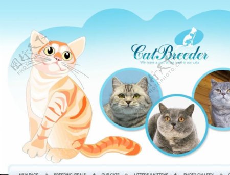 猫世界网页动画模板