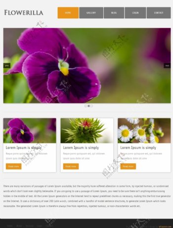 花朵图片展示网页模板