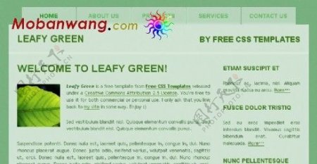 绿叶信息动态网页模板