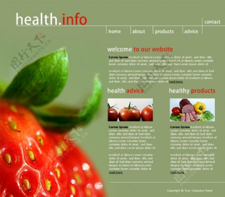 水果健康专业网站模板
