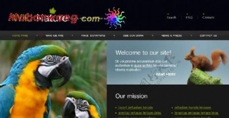 自然野生动物网页模板