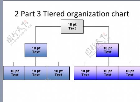 3层组织结构图