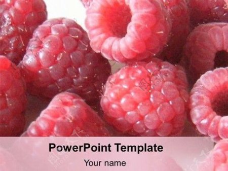 树莓的PowerPoint模板