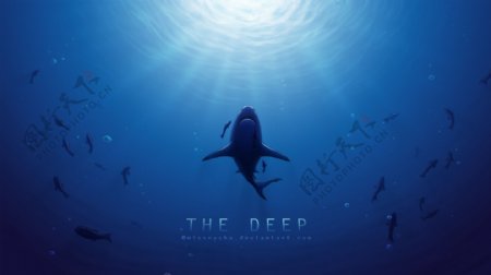 深海大鲨鱼