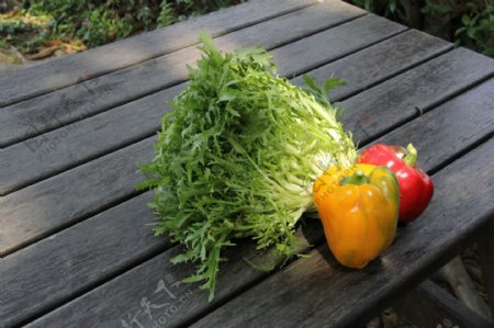 生态园蔬菜图片