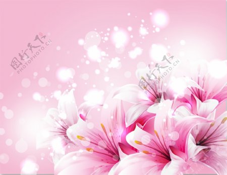 浪漫粉色壁画花卉图
