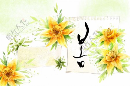 黄色花朵插画