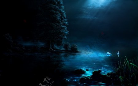 夜色湖畔图片
