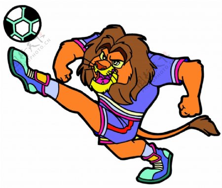 狮子踢球图片