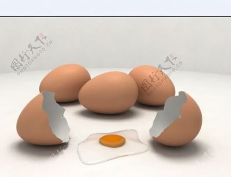 鸡蛋模型