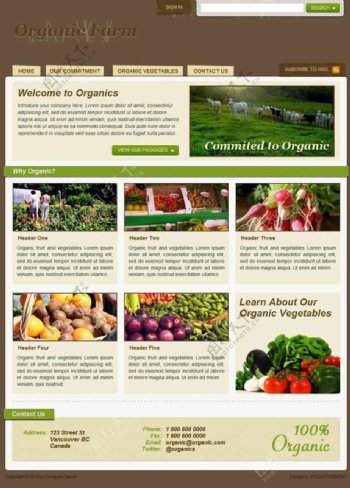 农产品网站模板