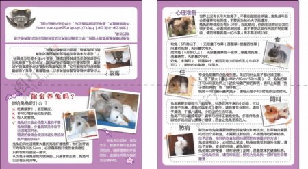宠物公益宣传折页图片