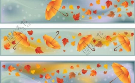 秋天枫叶背景雨伞图片
