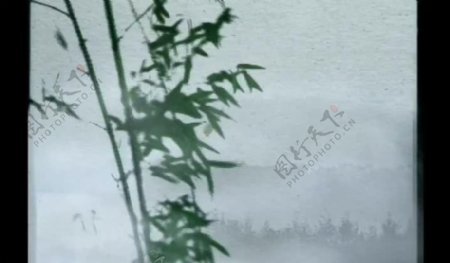 水墨竹子风景画视频图片