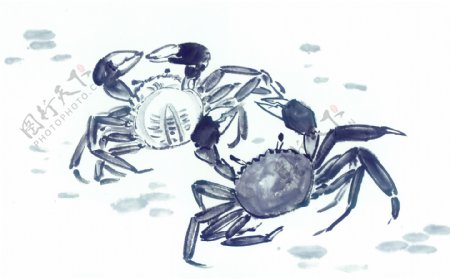 螃蟹绘画
