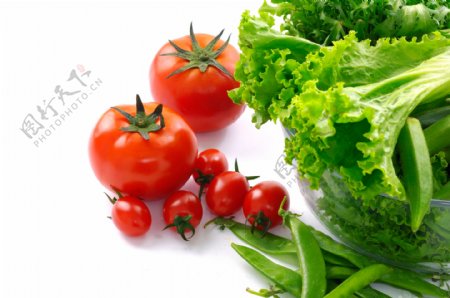 设计素材番茄生菜与梅豆角蔬菜