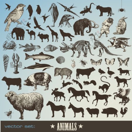动物矢量图