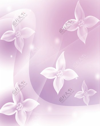 紫色梦幻透明花