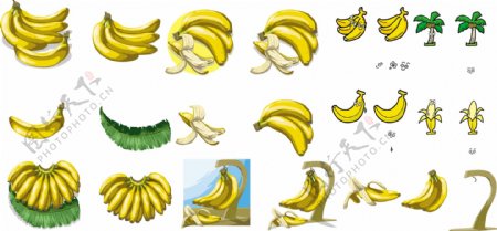 香蕉合集图片