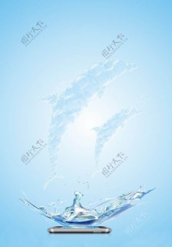 水泡海豚