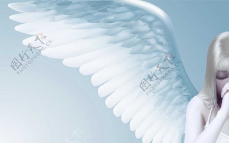天使翅膀素材图片