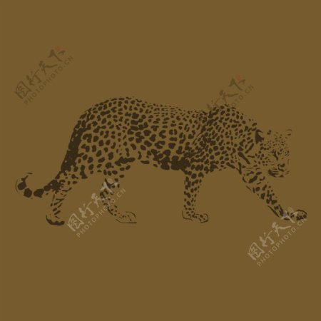 印花矢量图T恤图案动物豹色彩免费素材