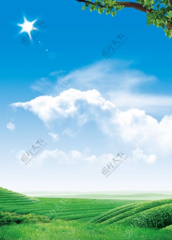 蓝天草地背景图片